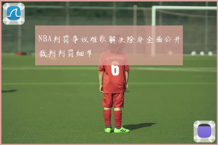 NBA判罚争议难以解决除非全面公开裁判判罚细节