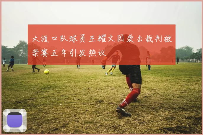 大渡口队球员王耀文因袭击裁判被禁赛五年引发热议