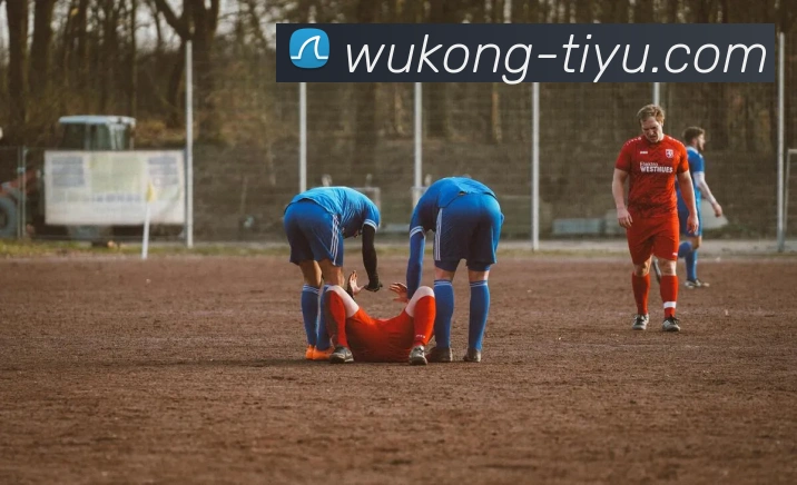 悟空体育服务体系